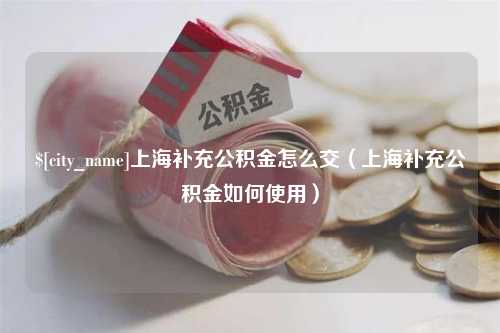 渑池上海补充公积金怎么交（上海补充公积金如何使用）